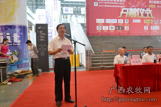 原广西区轻工行业办主任张澄汉发表讲话